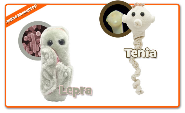 New Products!