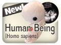 Human Being