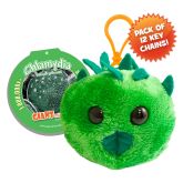 Chlamydia Key Ring 12 Pack