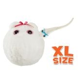Egg Cell XL & Mini Magnetic Sperm Cell