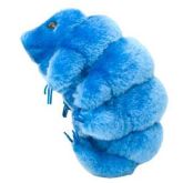 Ameba (Amoeba proteus) - Azul