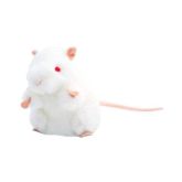 Ratón Blanco de Laboratorio (BALB/C)