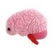 Brain organ plush doll