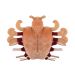 Crab Louse plush bottom