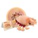 Crab Louse plush cluster