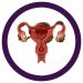 Endometriosis real image