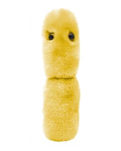 Acidophilus plush doll