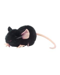 Ratón Negro de Laboratorio (C57BL/6)