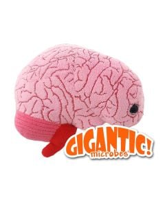 Brain Gigantic 