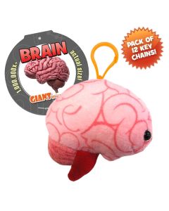 Brain Key Ring Pack