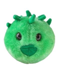 Chlamydia plush