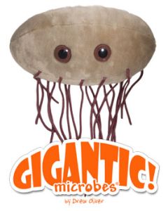 E Coli (Escherichia coli) Gigante