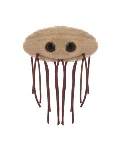 E. coli plush front