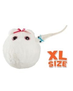 Egg Cell XL & Mini Magnetic Sperm Cell