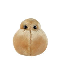 Fat Cell plush front