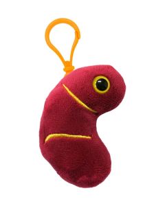 Kidney key ring