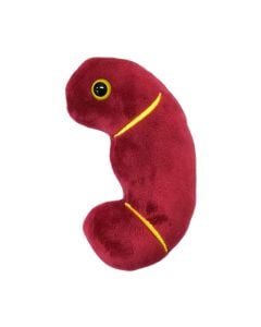 Kidney plush keychain