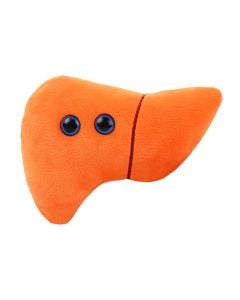 Liver plush doll