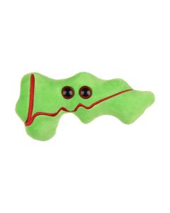 Pancreas plush doll