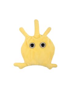 Platelet plush front