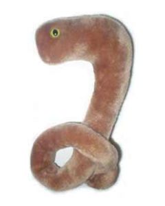 Ebola plush side