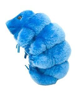 Waterbear plush doll angle