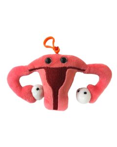 Uterus key ring