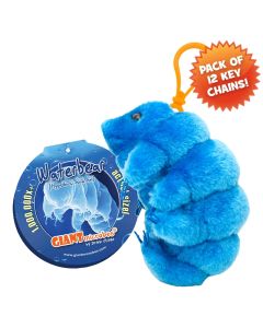 Waterbear KCpack