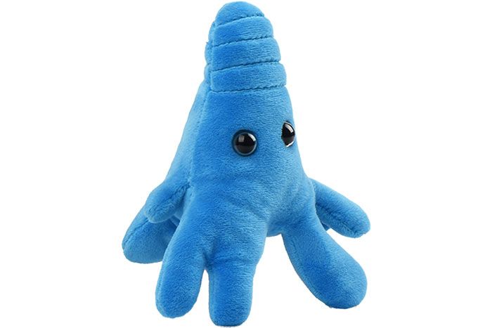 Amoeba plush angle