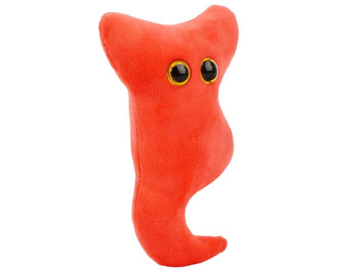 Appendix plush angle