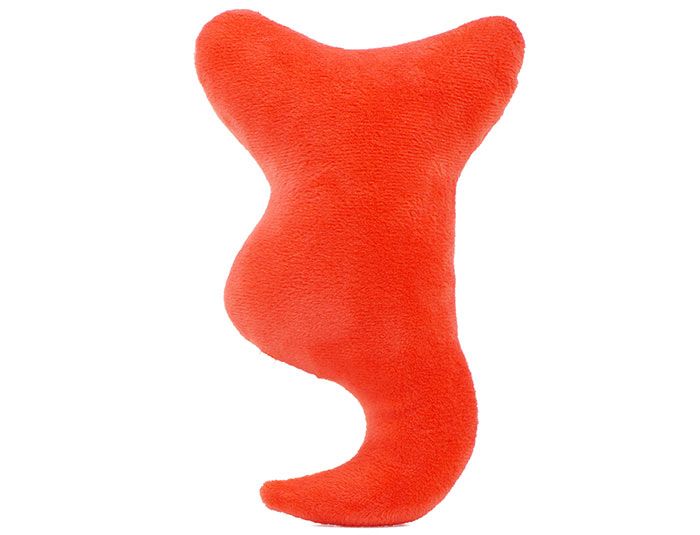 Appendix plush back