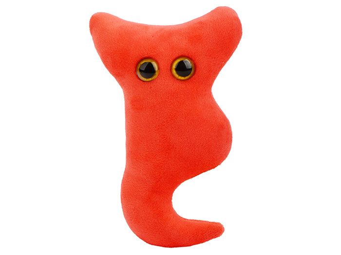 Appendix plush front