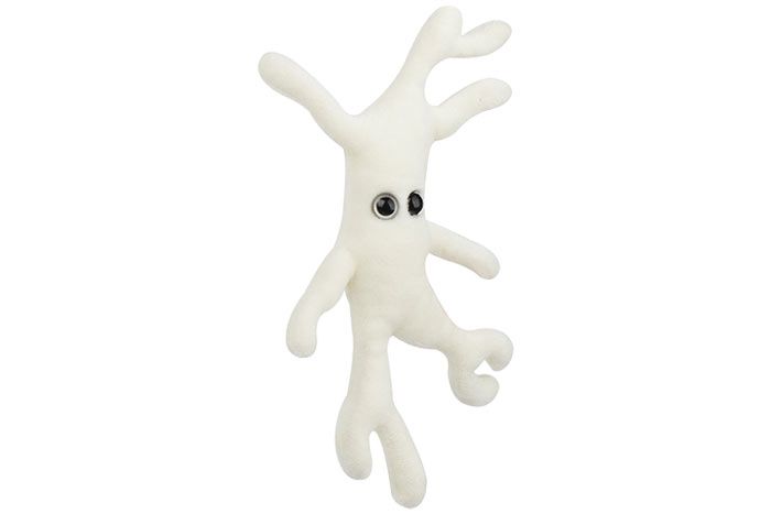 Bone Cell plush angle