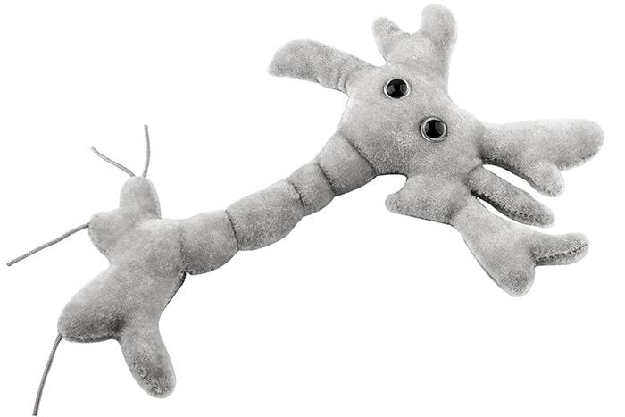 Brain Cell plush angle