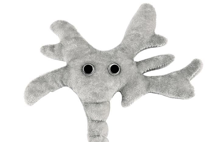 Brain Cell plush close