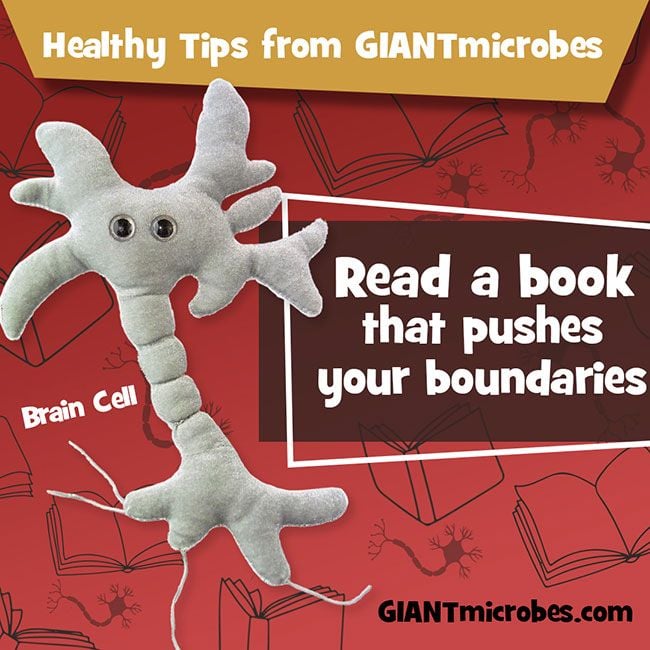 Brain Cell healthy tips