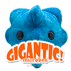 Common Cold Gigantic