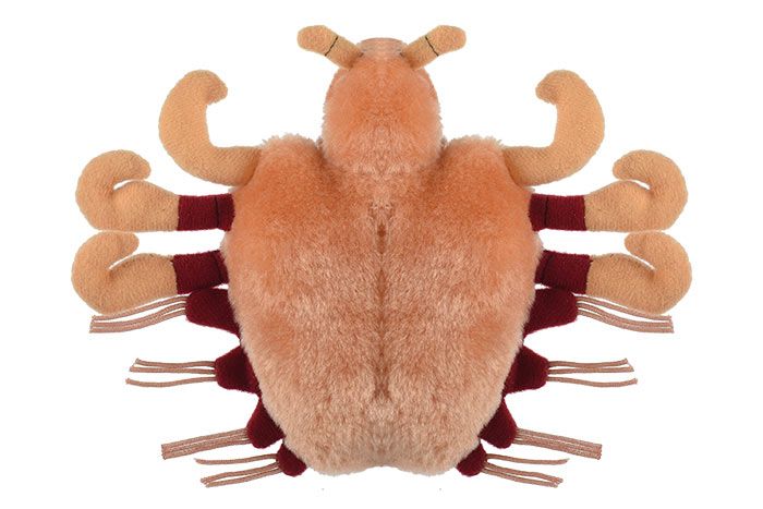 Crab Louse plush bottom