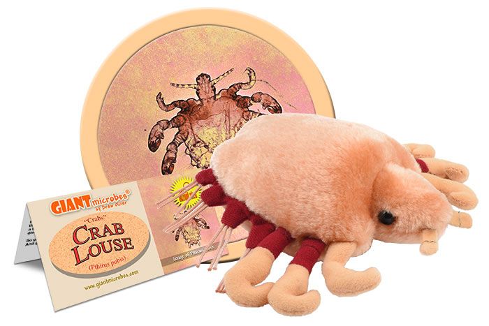 Crab Louse plush cluster