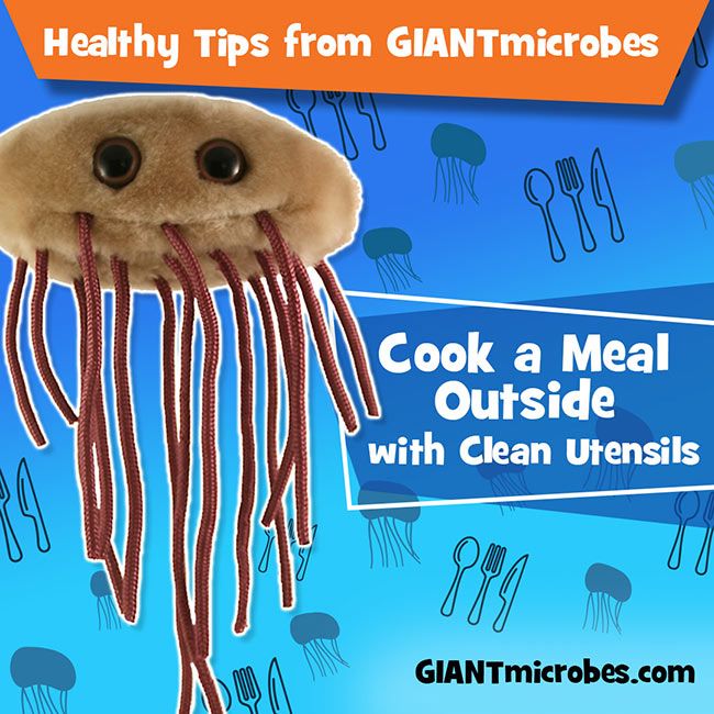 E. coli healthy tips