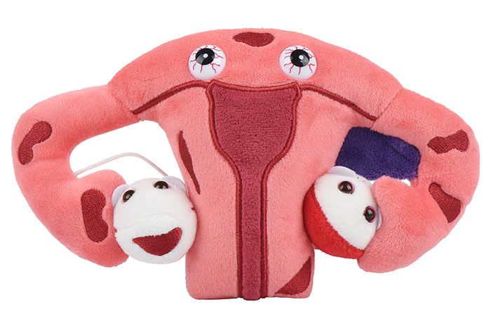 Endometriosis plush front