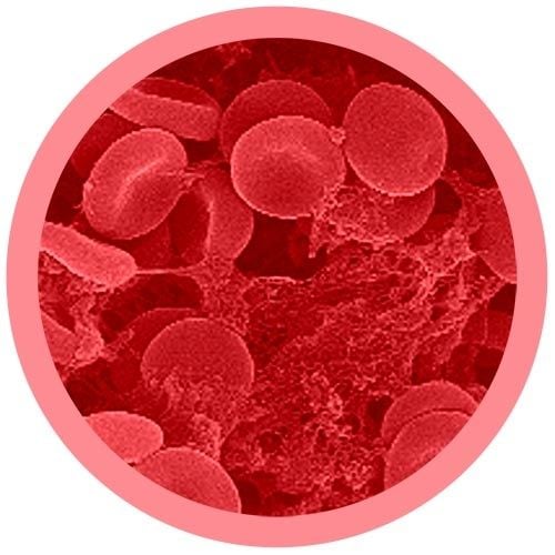 Red Blood microbial