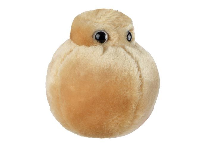 Fat Cell plush angle