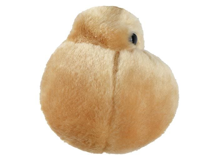 Fat Cell plush side
