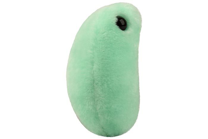 Flu plush doll side