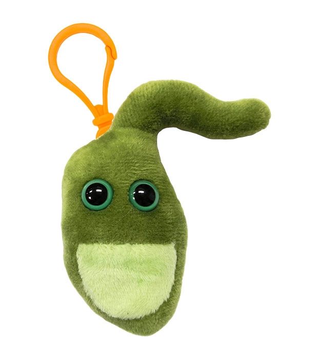 Gallbladder key ring