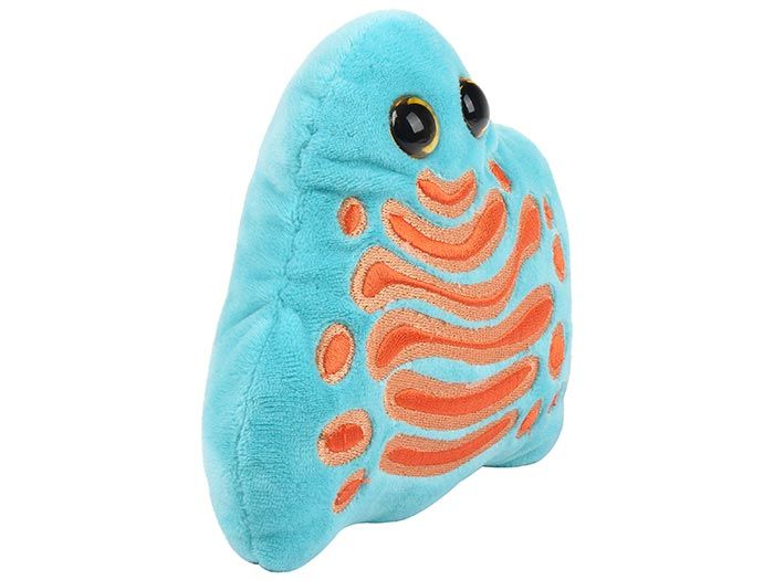 Golgi plush angle