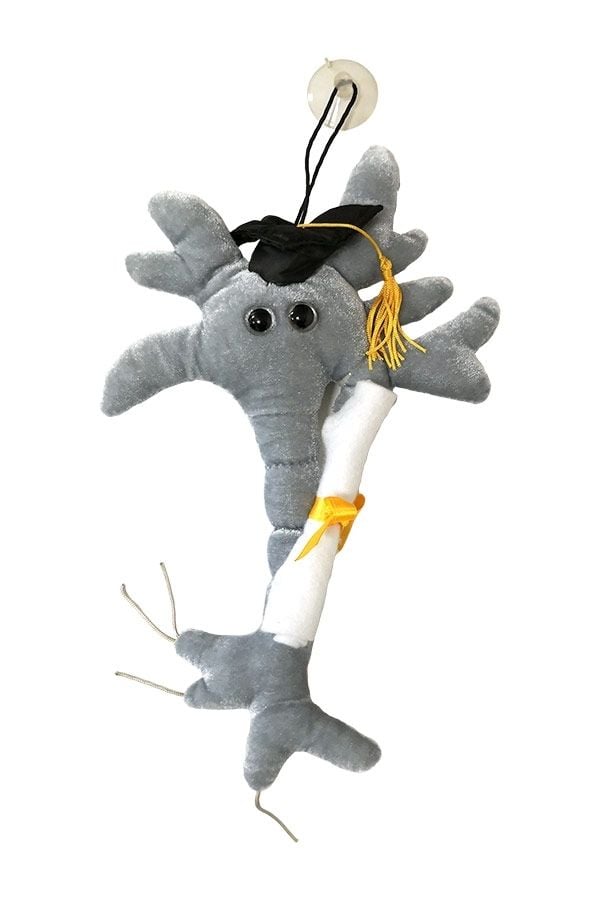 Grad Brain with Diploma plush doll
