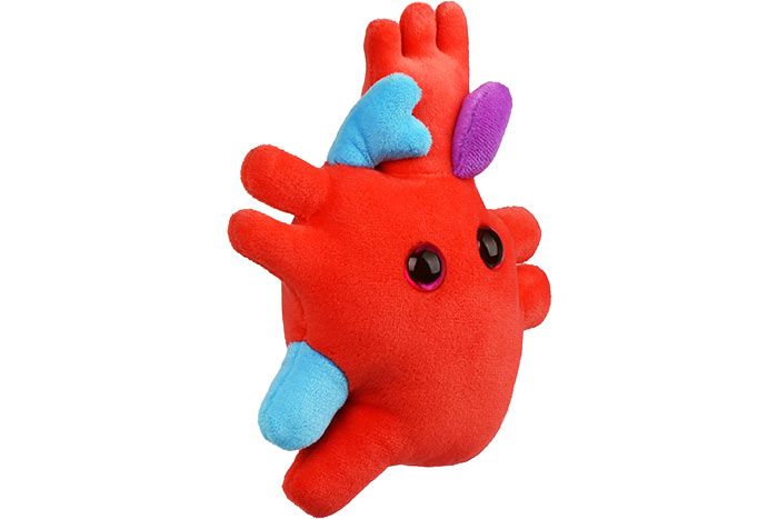 Heart plush angle