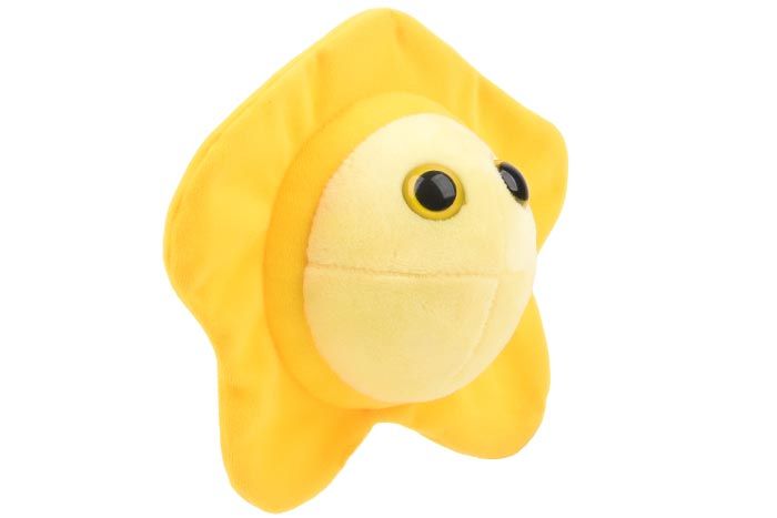 Herpes plush doll angle